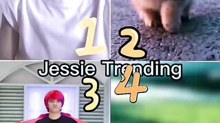 Who's Your Best?? ???? l Anak Kucing Meong-Meong l Tiktok Compilation