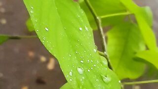 Raining day