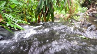 Survival Alone in the Rainforest - SOLO Bushcraft Camp, OFF GRID LIVING