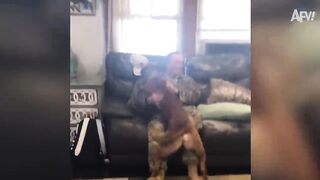Most Emotional and Funny Soldiers Coming Home Surprises