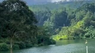 Sri lankan