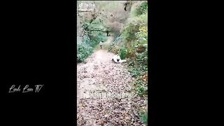 Funny Moments Of The Year Compilation ???????????? PART 5