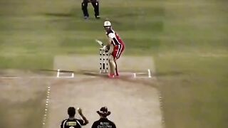 Cricket amazing shots.best of cricket