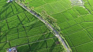 Vacation to Bali