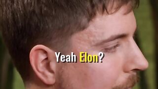 What Would MRBEAST Do With Twitter If ELON Died?