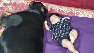 Jerry and Aaru are made for each other _ Dog protecting baby _ earn money online _.mp4