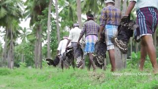 TURKEY SOUP | Traditional Turkey Soup Recipe Cooking in Village | Vaan Kozhi | Healthy Soup Recipes
