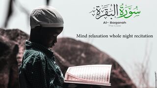 Surah Al-Baqarah 1 - 100 (Mind relaxation whole night recitation)