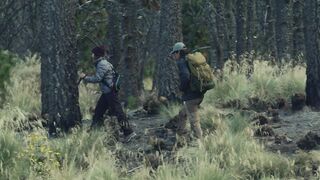 searching in jungle