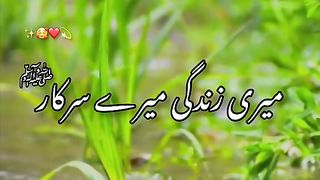 Mare zandghi maray sarkar de ha