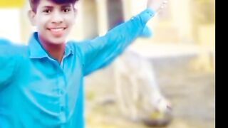 Zra Ghar day bher nikil sanwal/10$free open video and full watch guaranty