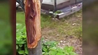 УСПЕШНА ГРАДИНА 7
