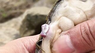 Mission de chasse aux perles réussie !