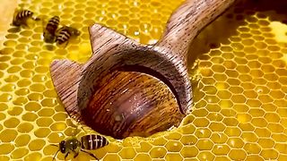 Le nectar doré de la nature