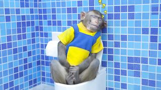 monkey in bathroom