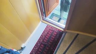 Funny video