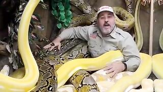 Snake ???? video