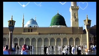 video 146