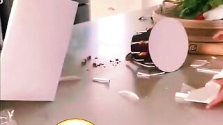 Videos Virales Graciosos 2