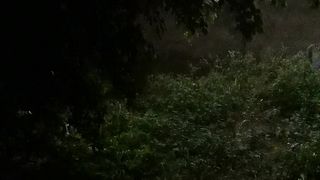 Darkness by Rain Original