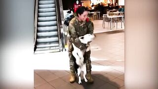 Animals Reunited With Owners After Years ! 2
