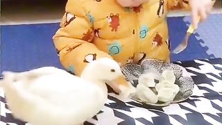 Приколи 129