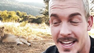 Why Scaring a Lion !!