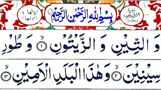 surah_tin___surah_at_tin___surah_al_tin___tin_surah___at_tin_surah___surah_tin_tilawat___surah_teen(360p).