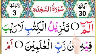 Surah_As-Sajda_Full___Surah_Sajdah_Reaction_With_HD_Arabic_Text___Learn_Quran_Daily(360p).