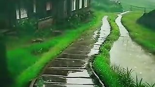 Nature's beauty 4