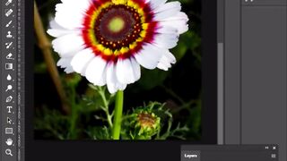 Create Custom Brush in Photoshop