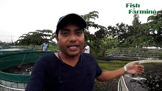 Biofloc में मछली का साईज (Size)कितना हो सकता है देखिये.