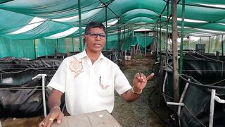Shrimp Farming in Biofloc Online Training Program _ 9270150076 _ Homemade Probiotics _Prawn_Chingri
