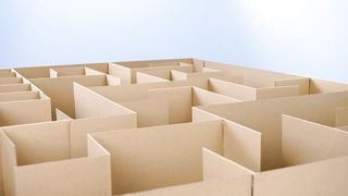 GIANT Maze Labyrinth for Cat Kittens. Can they EXIT? 3
