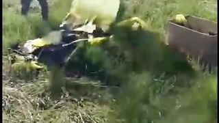 Funny video