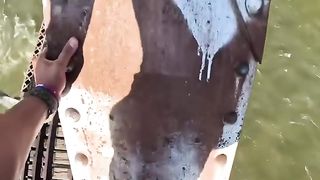 Funny video