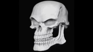 Tutorial how to become a skeleton