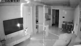 Cat cute video 2