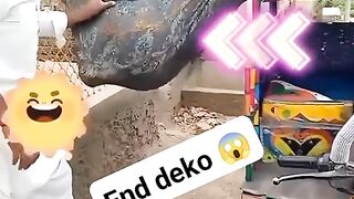 Funny video ???????? 13