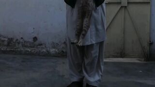 Fun with cat ????????