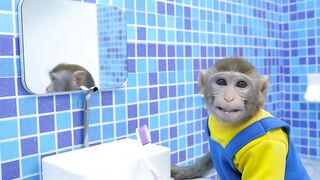 Naughty Monkey