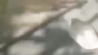 Video lucu #1