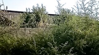 ДИКОРАСТУЩИЙ