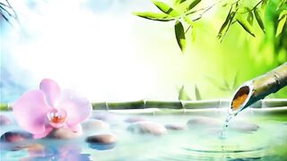 Relaxing Music V6