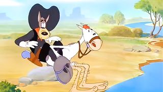 Cartoon Funny