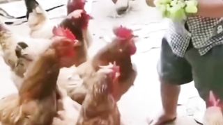 Let's laugh a little!! Funny compilation 2023