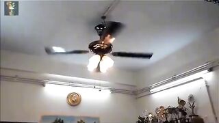 Funny video spot me bhai log 134