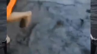FUNNY 18