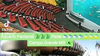 Esse é o Maior Aquário Pantanal do Pantanal Em Campo Grande MS
