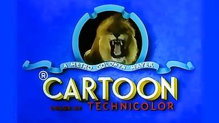 Tom and Jerry cartoon 8